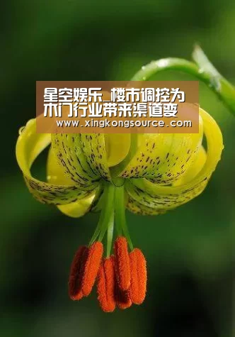星空娱乐