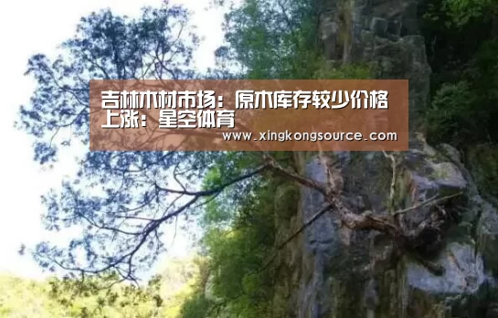星空娱乐
